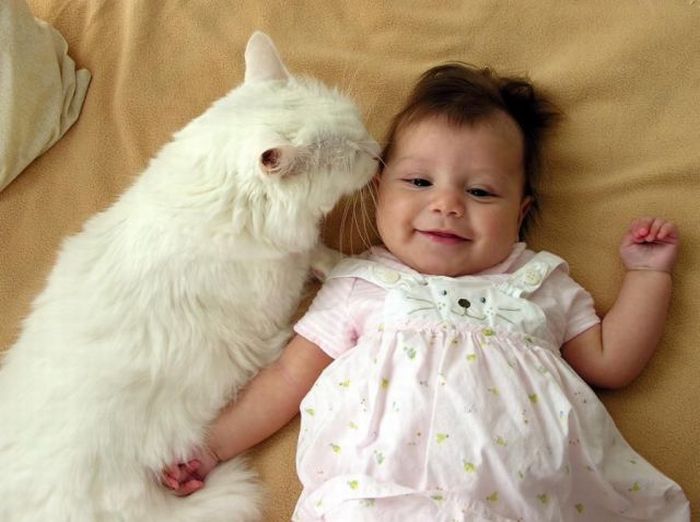 Acid Picdump (124 pics)