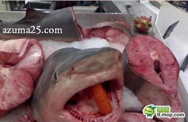 Fish Market in China (3 pics)