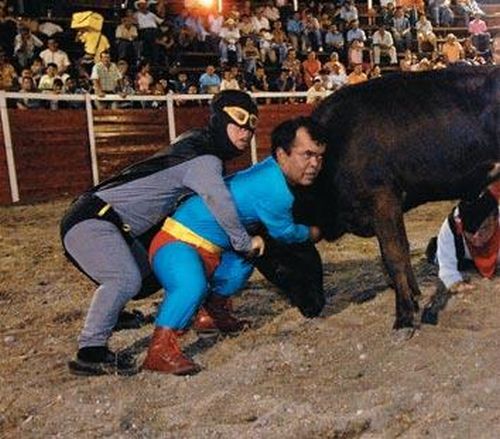 Midget Bullfighters (17 pics)