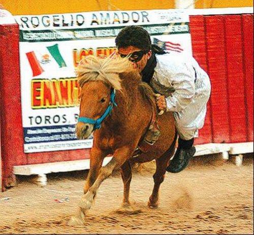 Midget Bullfighters (17 pics)
