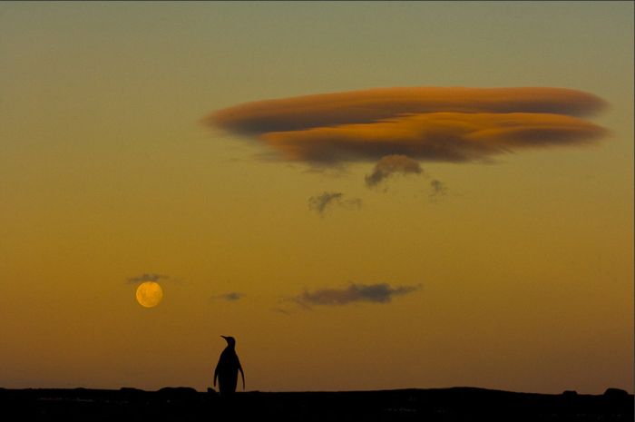 Wild Life Photography (25 pics)