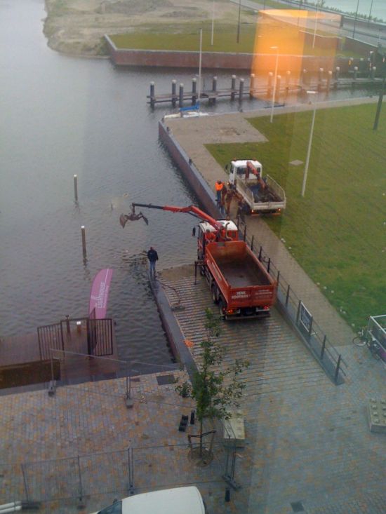 Helping Hand (12 pics)