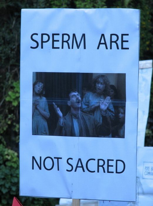 Pope Protest Signs (30 pics)