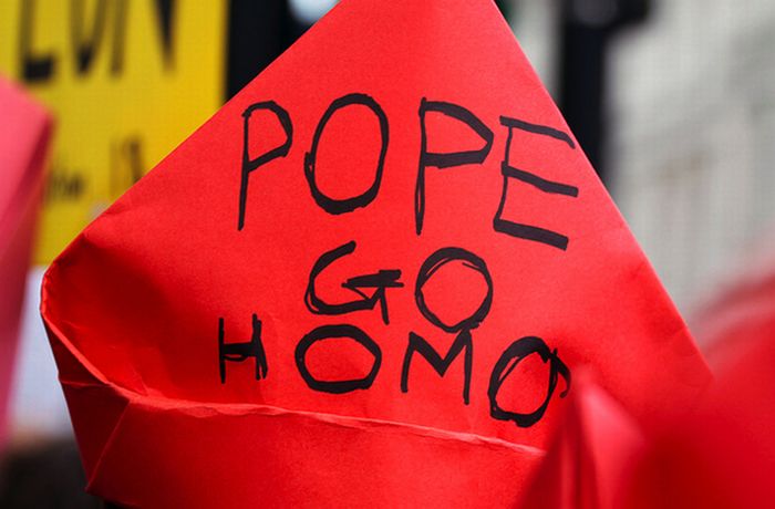 Pope Protest Signs (30 pics)