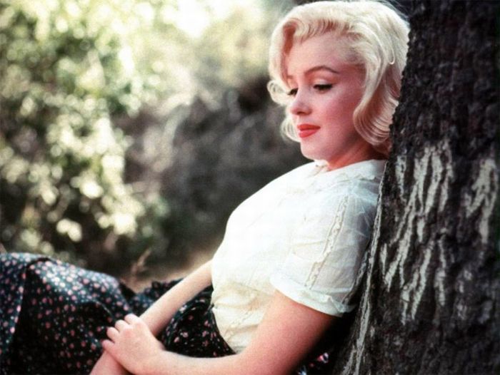 Marilyn Monroe (25 pics)