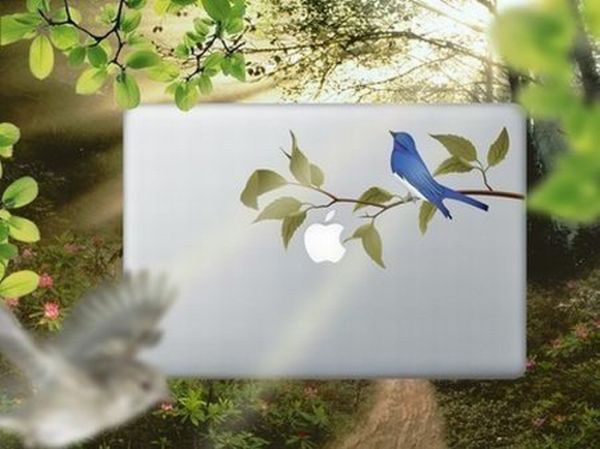 Playing With Apple's Apple. Part 4 (13 pics)