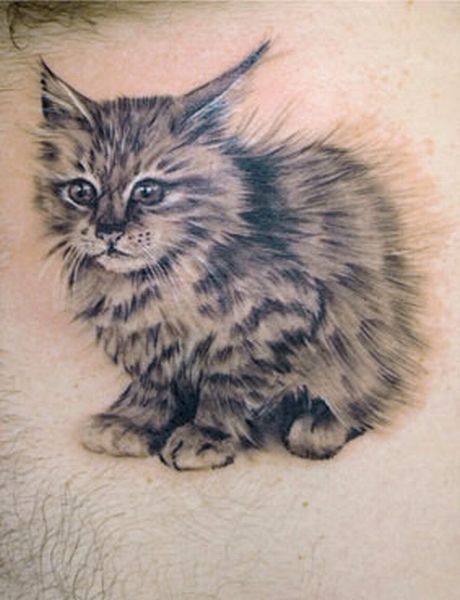 Cat Tattoos (18 pics)
