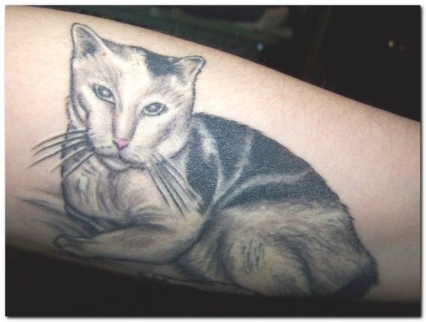 Cat Tattoos (18 pics)