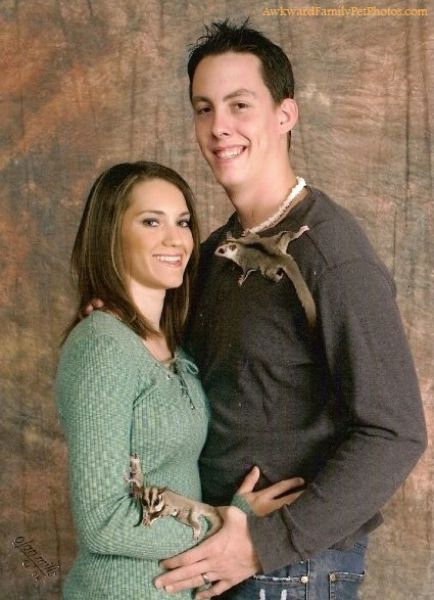 Funny Family Photos With Pets (27 pics)
