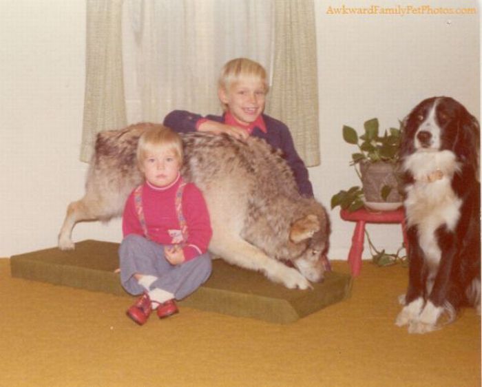 Funny Family Photos With Pets (27 pics)