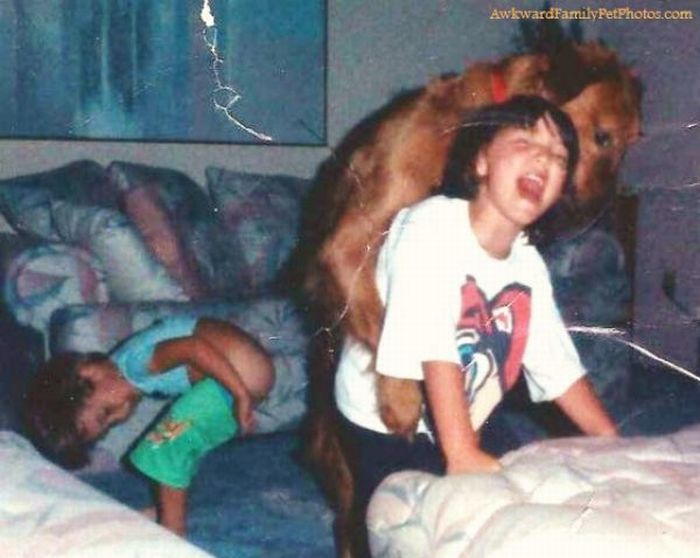 Funny Family Photos With Pets (27 pics)