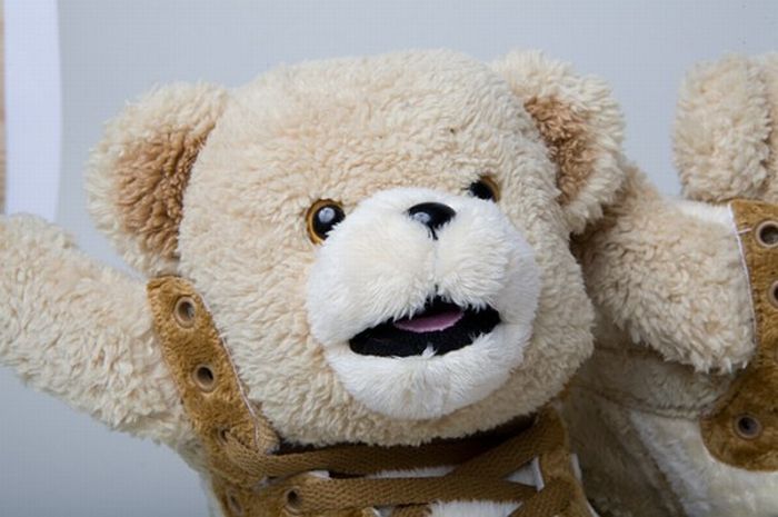 Adidas Teddy Bears Edition (8 pics)