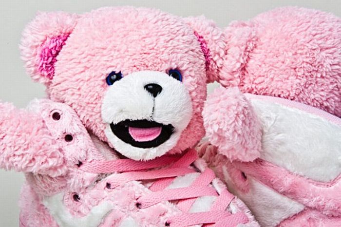 Adidas Teddy Bears Edition (8 pics)