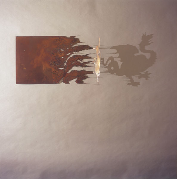 Amazing Artwork Made Out of Shades (33 pics)