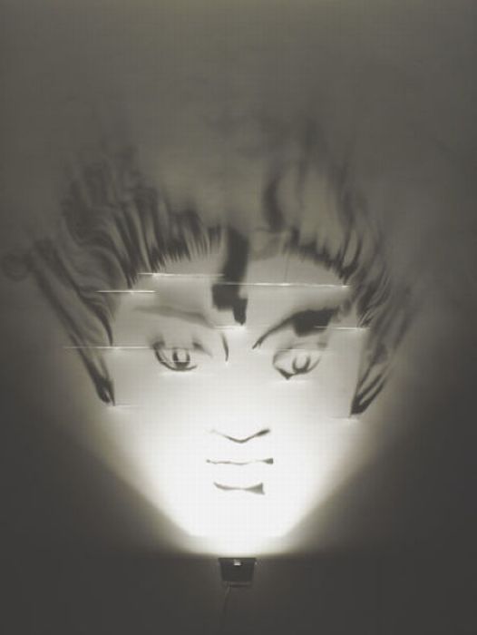 Amazing Artwork Made Out of Shades (33 pics)