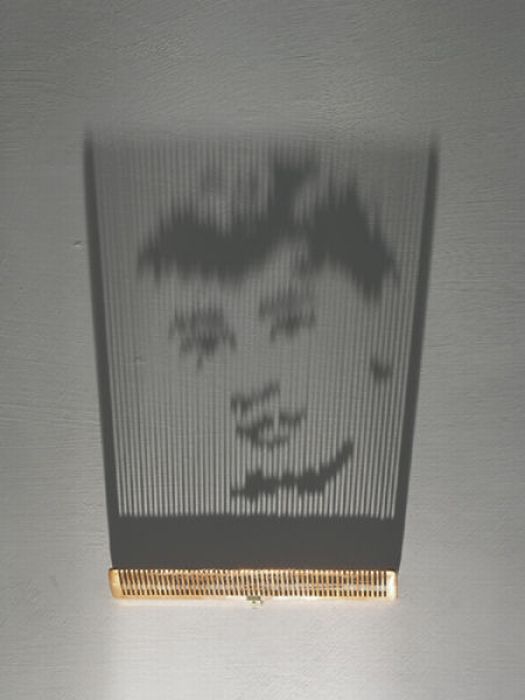 Amazing Artwork Made Out of Shades (33 pics)