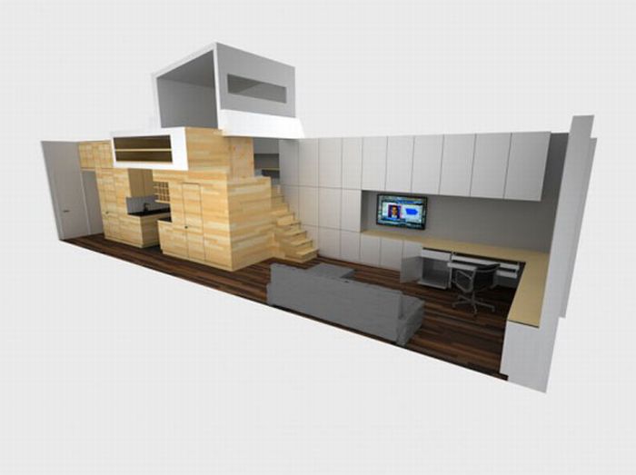 Space Maximization in a Small Studio Apartment (13 pics)