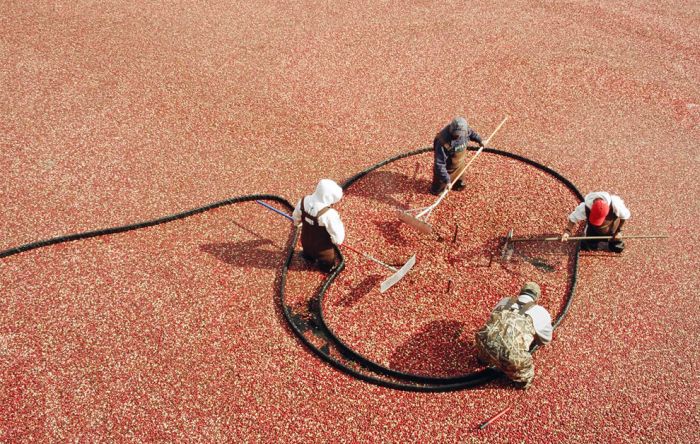 Acid Picdump (161 pics)