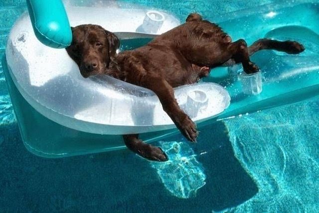 Acid Picdump (161 pics)