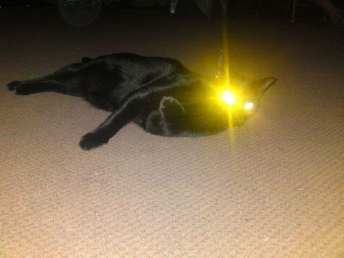Acid Picdump (161 pics)