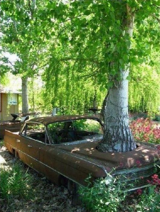 Acid Picdump (161 pics)