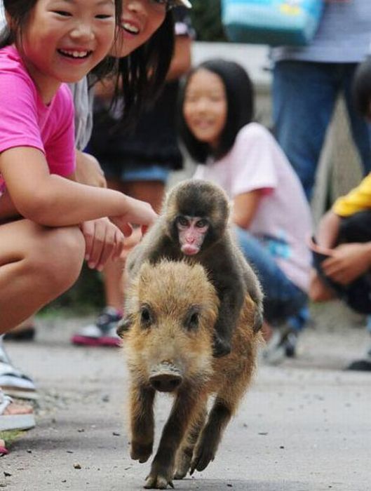 Acid Picdump (161 pics)