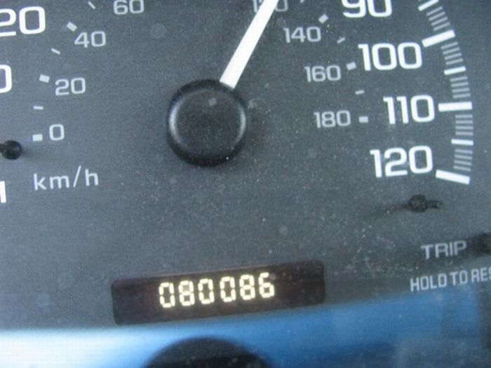 Acid Picdump (161 pics)