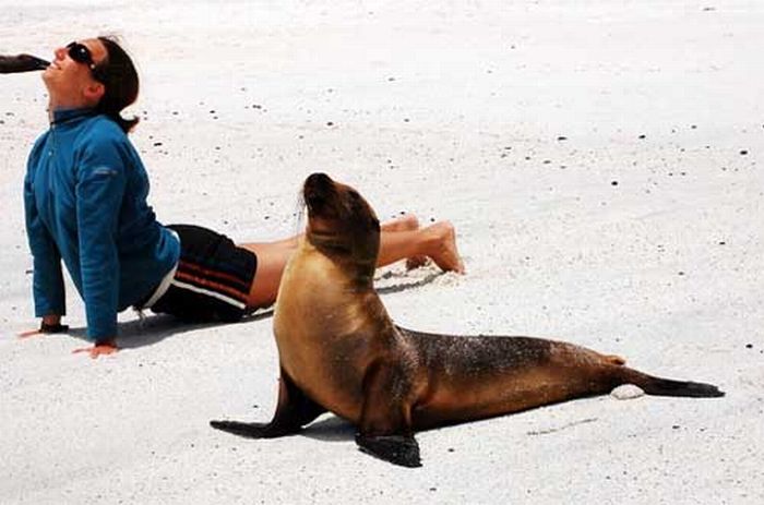 Acid Picdump (161 pics)
