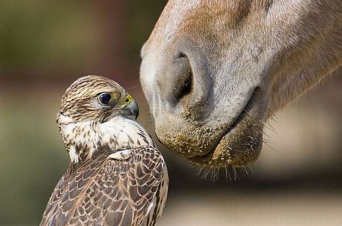 Acid Picdump (161 pics)