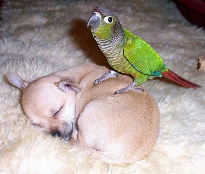 Acid Picdump (161 pics)