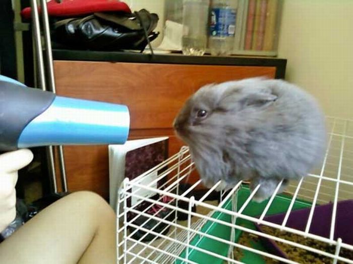 Acid Picdump (161 pics)