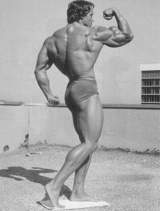 Young Arnold Schwarzenegger (100 pics)