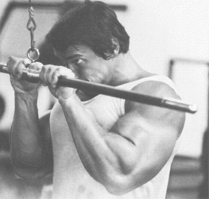 Young Arnold Schwarzenegger (100 pics)