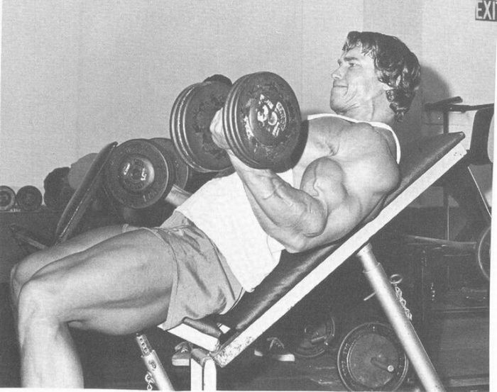 Young Arnold Schwarzenegger (100 pics)