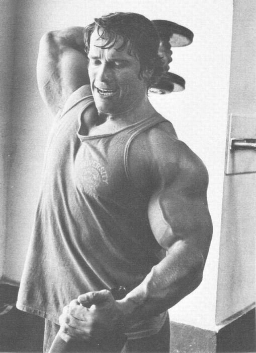 Young Arnold Schwarzenegger (100 pics)