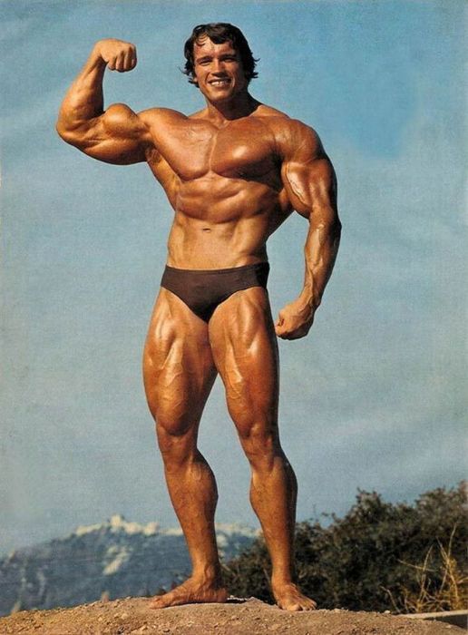 Young Arnold Schwarzenegger (100 pics)