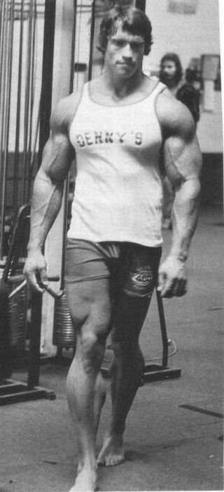 Young Arnold Schwarzenegger (100 pics)