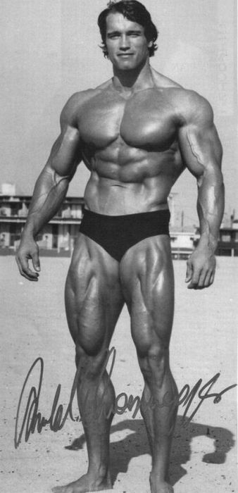 Young Arnold Schwarzenegger (100 pics)