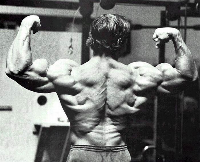 Young Arnold Schwarzenegger (100 pics)