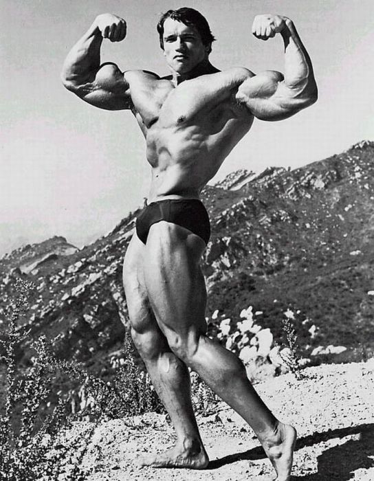 Young Arnold Schwarzenegger (100 pics)