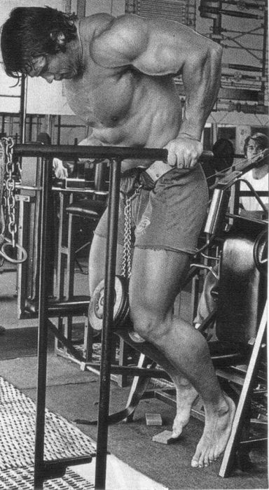 Young Arnold Schwarzenegger (100 pics)