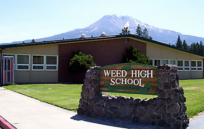 Bad School Names (19 pics)