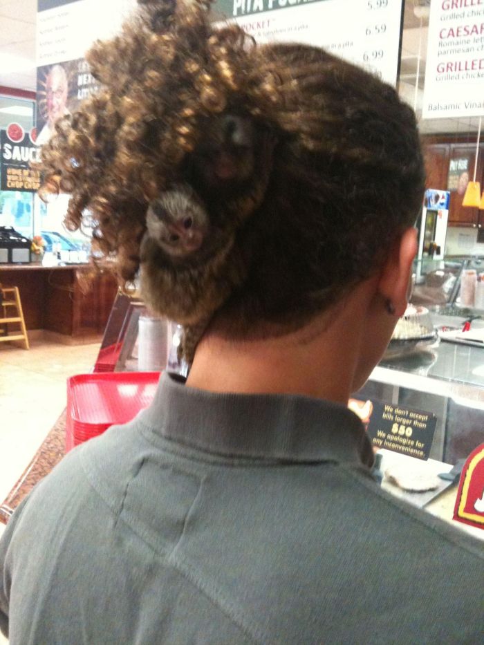 The Craziest Haircut Ever (1 pics)