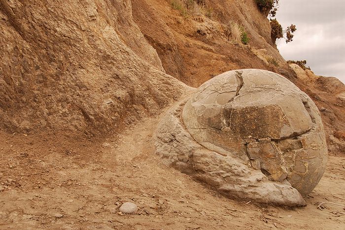 The Mysterious Moeraki Boulders (14 pics)
