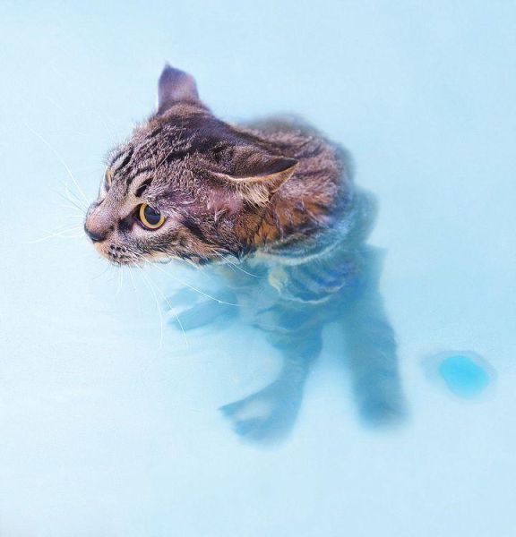 Acid Picdump (133 pics)