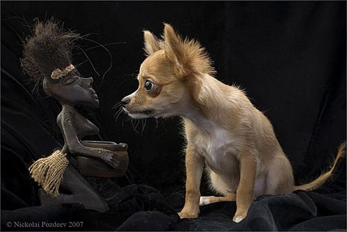 Acid Picdump (133 pics)