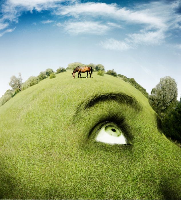 Acid Picdump (133 pics)