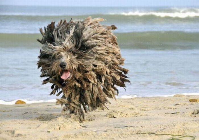 Acid Picdump (133 pics)