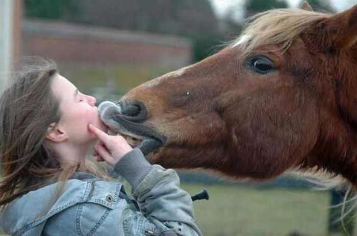 Acid Picdump (133 pics)