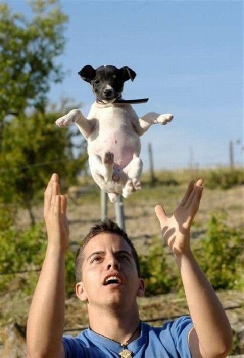 Acid Picdump (133 pics)